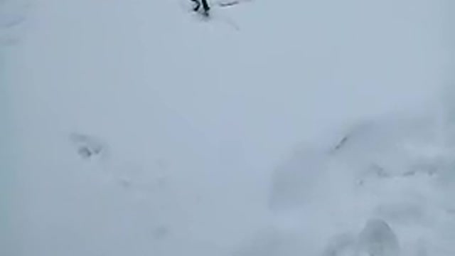 Snake on Snow