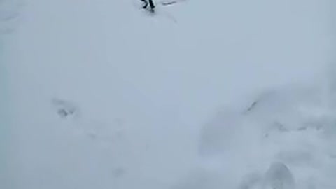 Snake on Snow