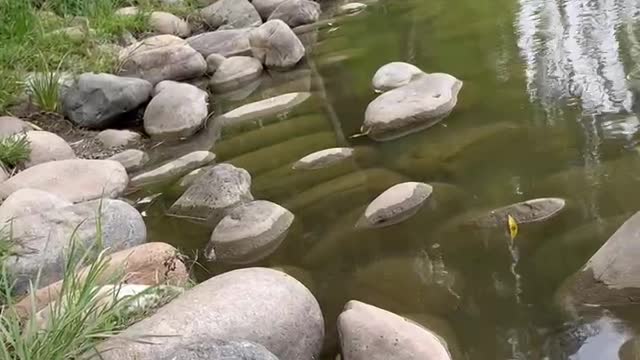 Big rocks by the lake