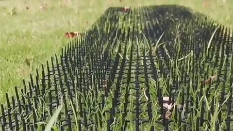 Cat StingPad Cat Prickles Strip