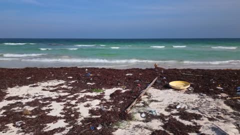 Microplastic “Hotspots” Identified in Long Island