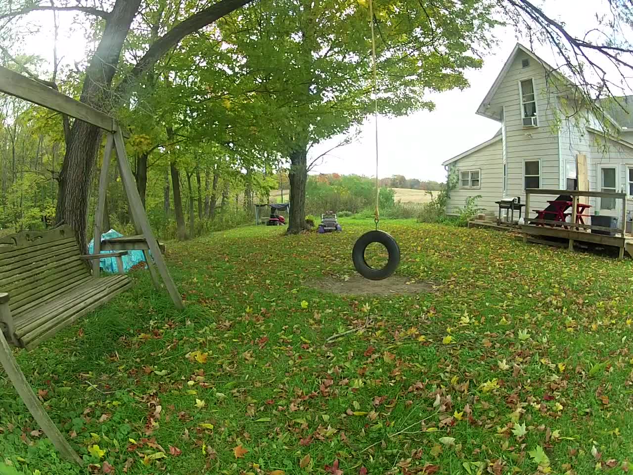 Late Summer Tire Swing