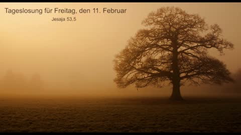 Tageslosung für Freitag, den 11. Februar