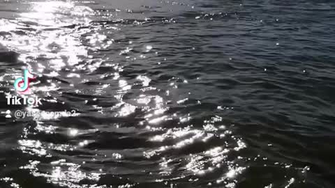Sudan river Nile