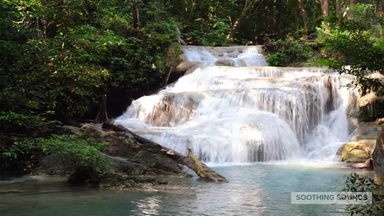 Pleasant Waterfall Music - Chirping Birds - Study Concentration