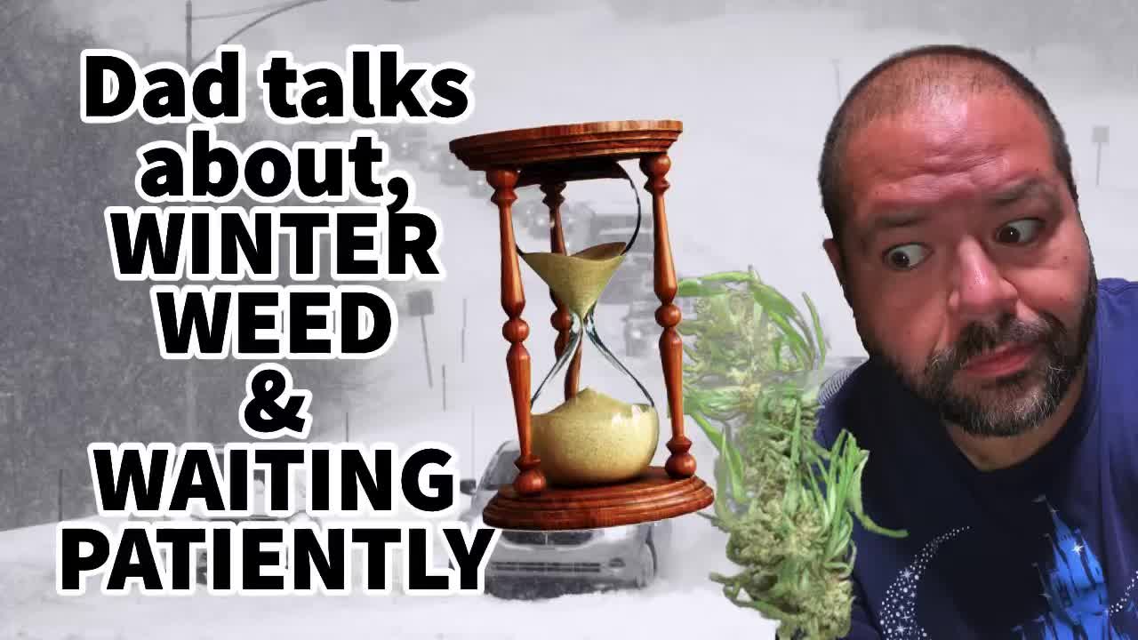 Dad talks about Winter, Weed, and Waiting