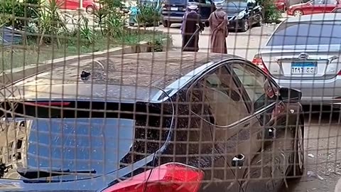 شحاتة بالإزعاج