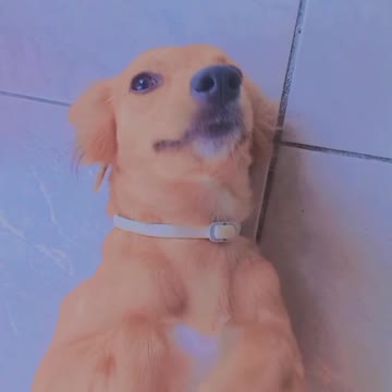 my little princess parte 3