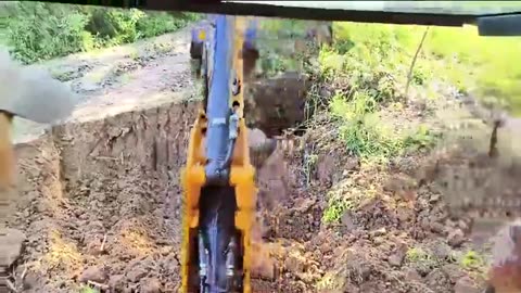 Rescue of Elephant Trapped in Well