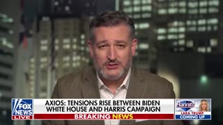 The Biden-Harris White House is in 'panic': Sen. Ted Cruz