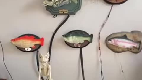Trophy Rhapsody