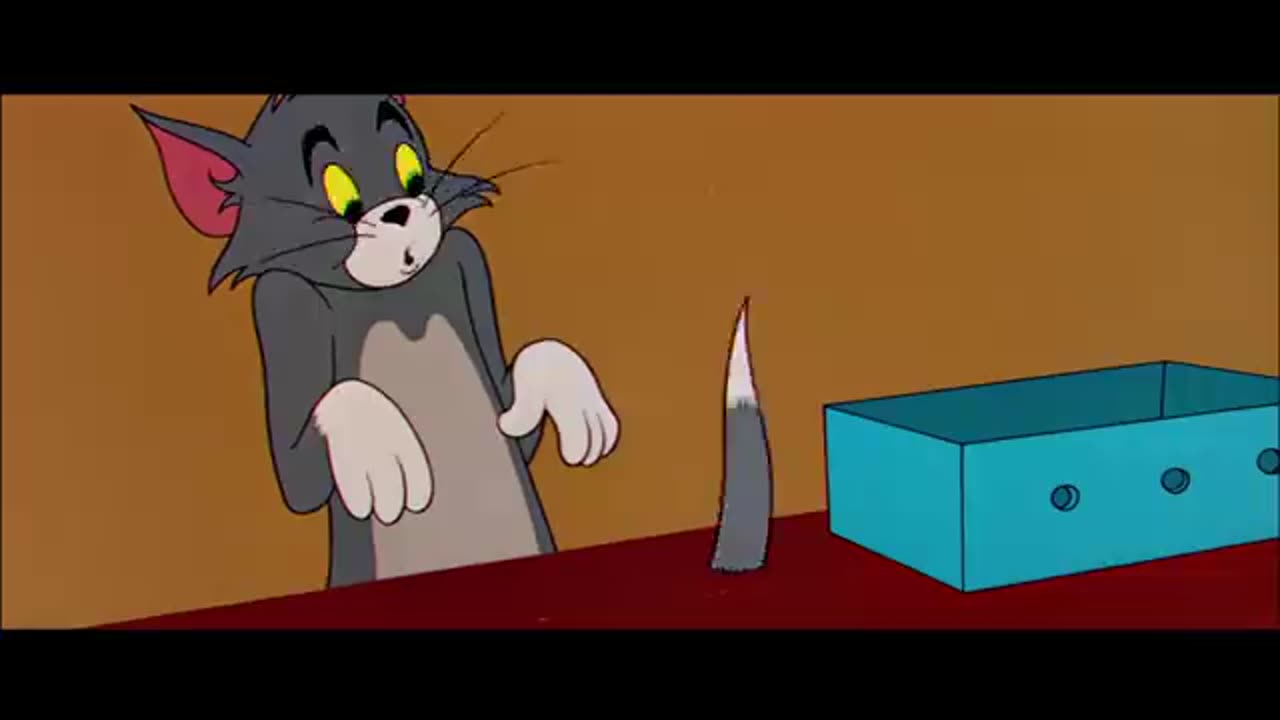 Tom & Jerry cartoon for kids