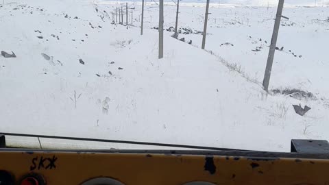 Train driver's view