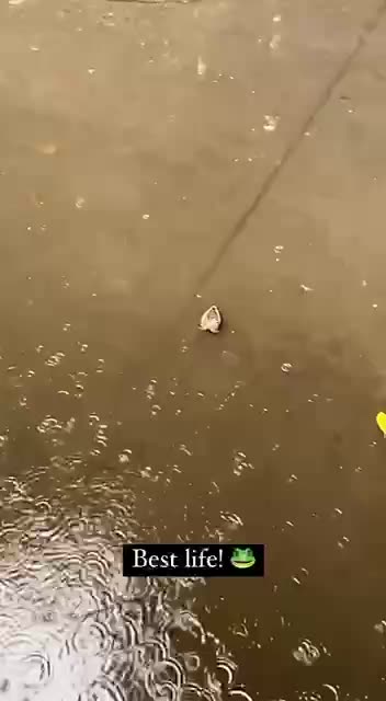 A beautiful summer day 👍🤣