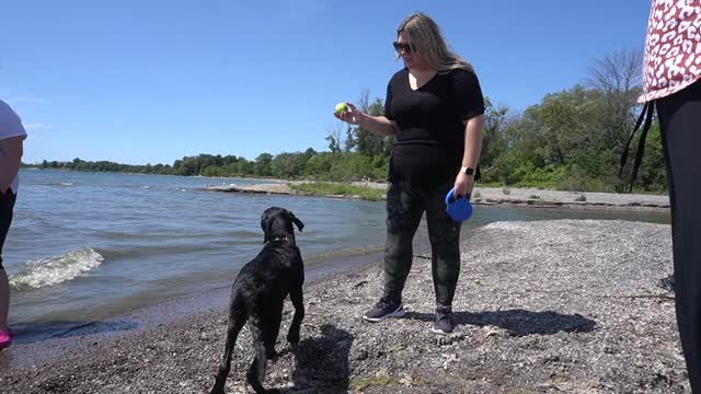 BEAR'S AMAZING WATER ADVENTURE