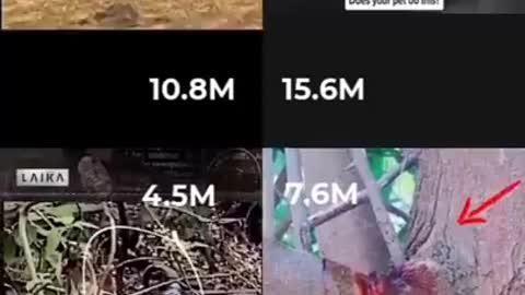 4 real incidents