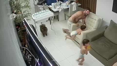 Dad Becomes Playtime Casualty