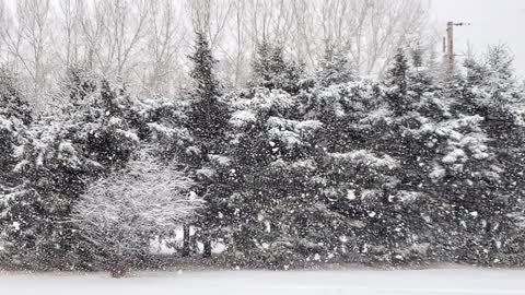 Slow-Mo Snow Fall