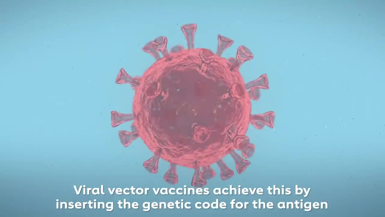 COVID-19 Vaccines Types Explained in 3D Animation Corona Vaccines