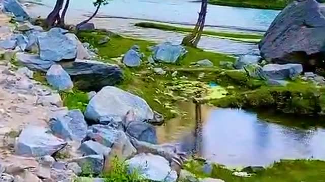 NATURE BEAUTIFUL SHORT VIDEO CLIP HD