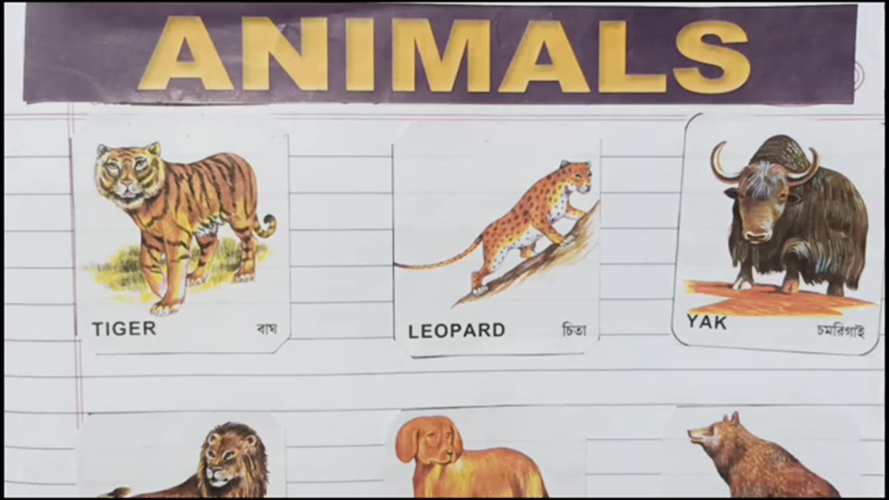 Animals name_animals name in English and Bengali