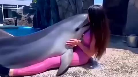 Cute Dolphin😍😍