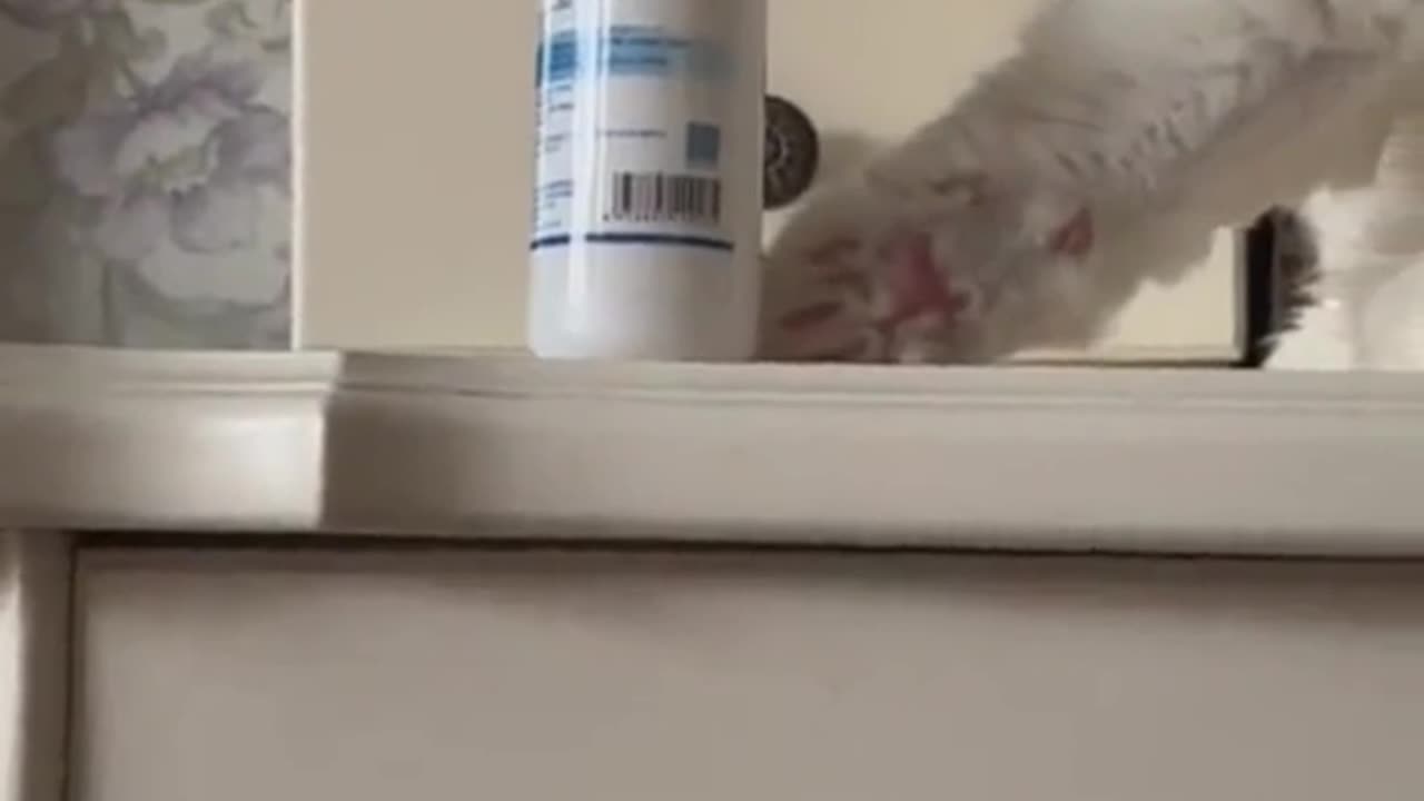 SUS CAT