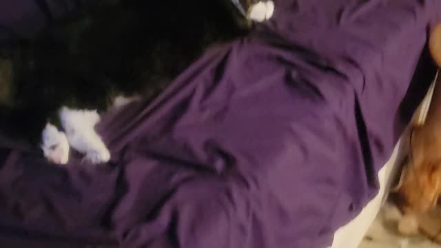Accidentally Woke Him Up