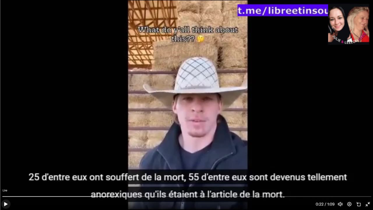 ApéroLiveLove avec Vous les Zzz'Amis 14/07 Les Zzz'Infos Bonheur de Leelou
