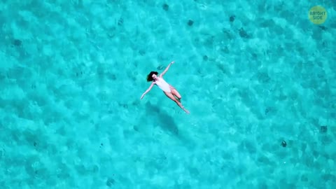 If You See This Green Foam on the Beach, Don't Come Close