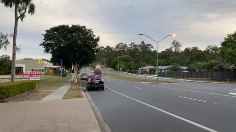 Dad Takes Giant Kookaburra Out for Test Drive