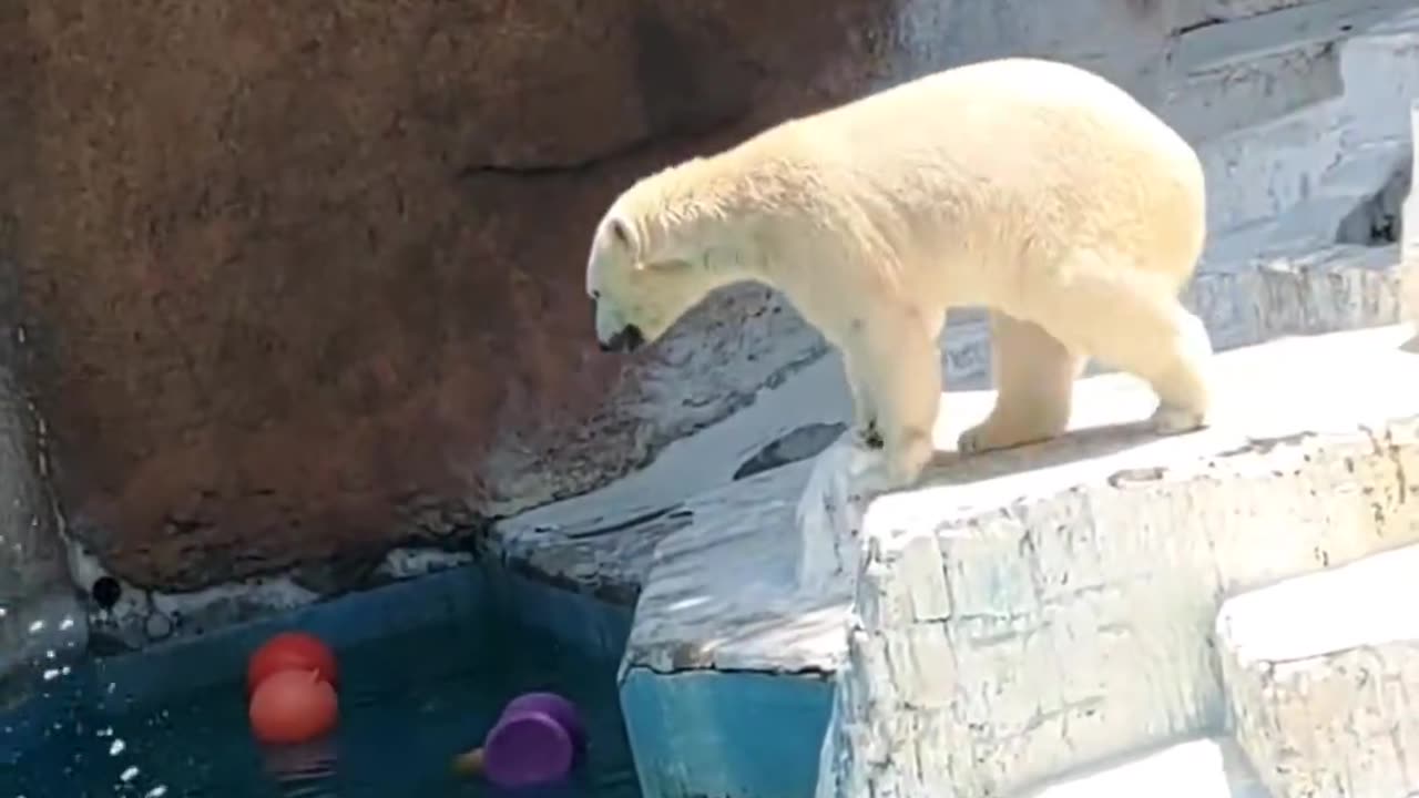 What you need for joy... a bucket