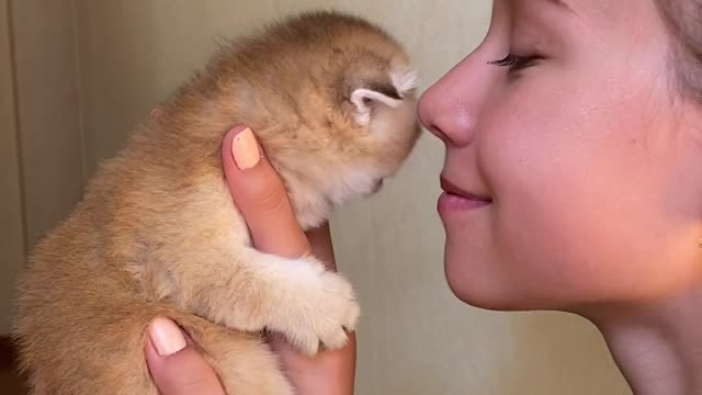 Kid kissing 💋 kitten