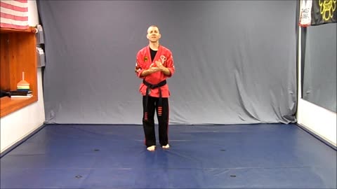 Basic Skillz Orange Belt - Yellow Stripe