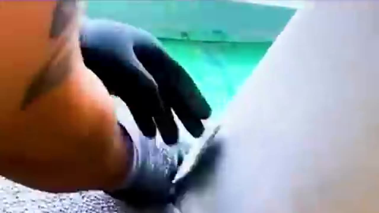 Smartest worker 😎😎😎😎