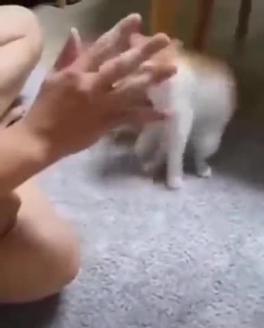 G'night fam. Now you see it, now you don’t! 😂😂😂