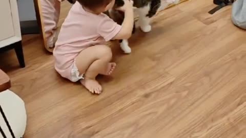 Cute baby playing with her cats