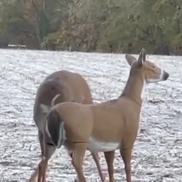 funny|prank|jokes|funny jokes|dad jokes|funny memes|funny video|fun|laughing|funny animal|knock