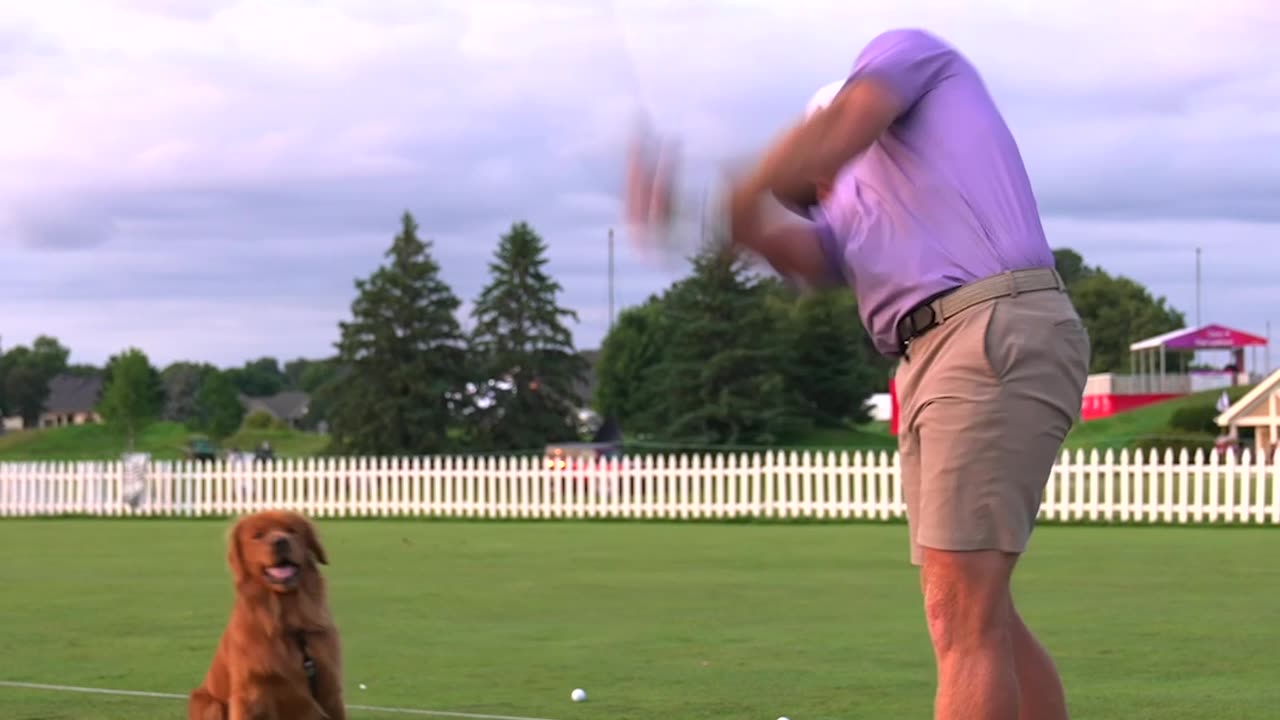 Golden hour. Literally. Robby Shelton's pup, Riggs, was helping his dad