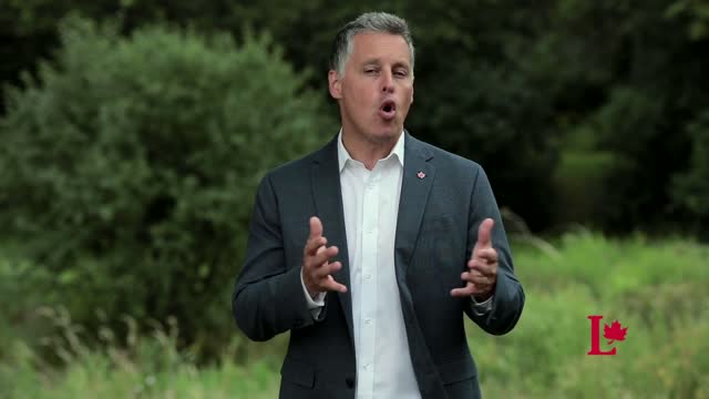 Publi Peter Schiefke