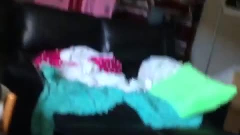 Girl opens box to show that her ferret got stuck behind it