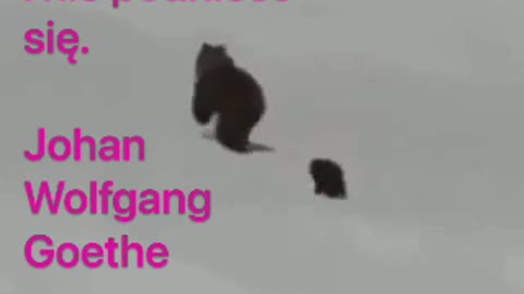 można zajść daleko