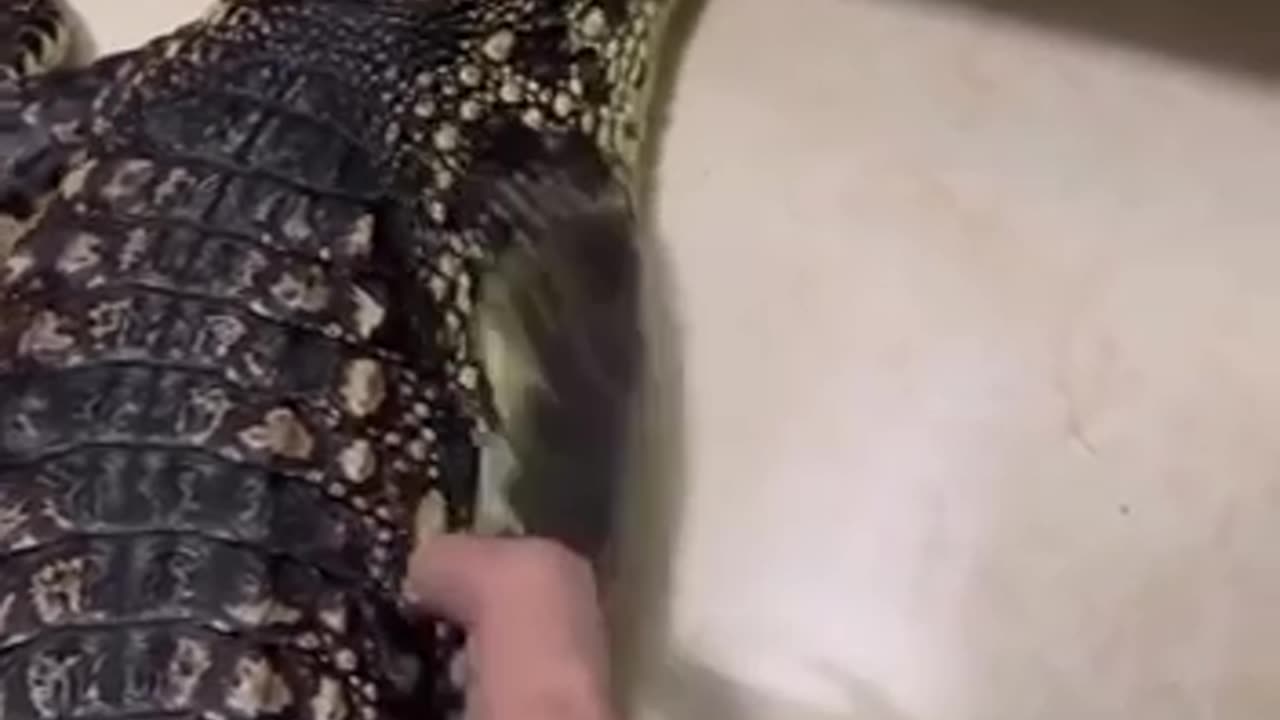 Please stop it that tickles !!! 😂😂