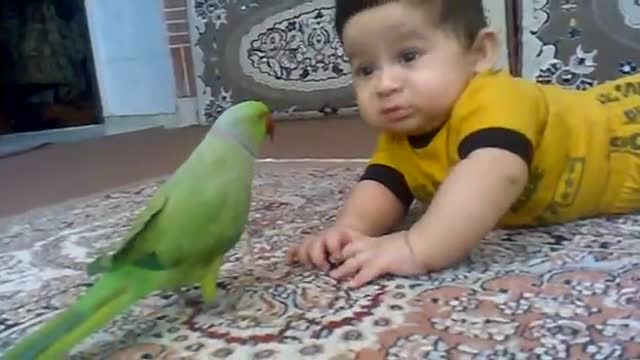 Funny bird play withe baby