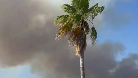 Fire in Marbella 🔥 – a city located in southern Spain, on the Mediterranean Sea.