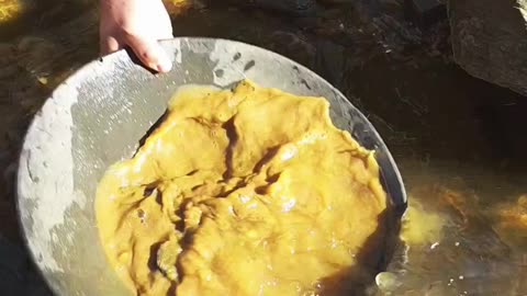 Gold Prospecting