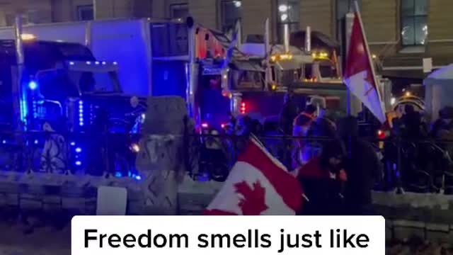 Burning Diesel in Ottawa. Greta's gonna be mad.