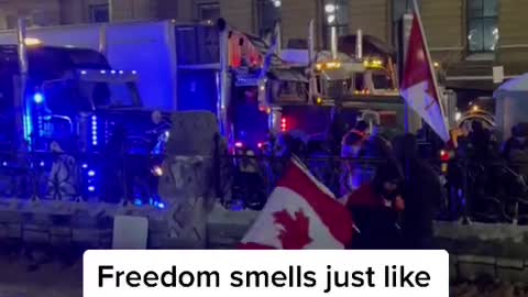 Burning Diesel in Ottawa. Greta's gonna be mad.