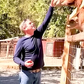 Epic Fails Funny Videos