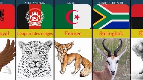 LE NOM ANIMAL DE CHAQUE PAYS